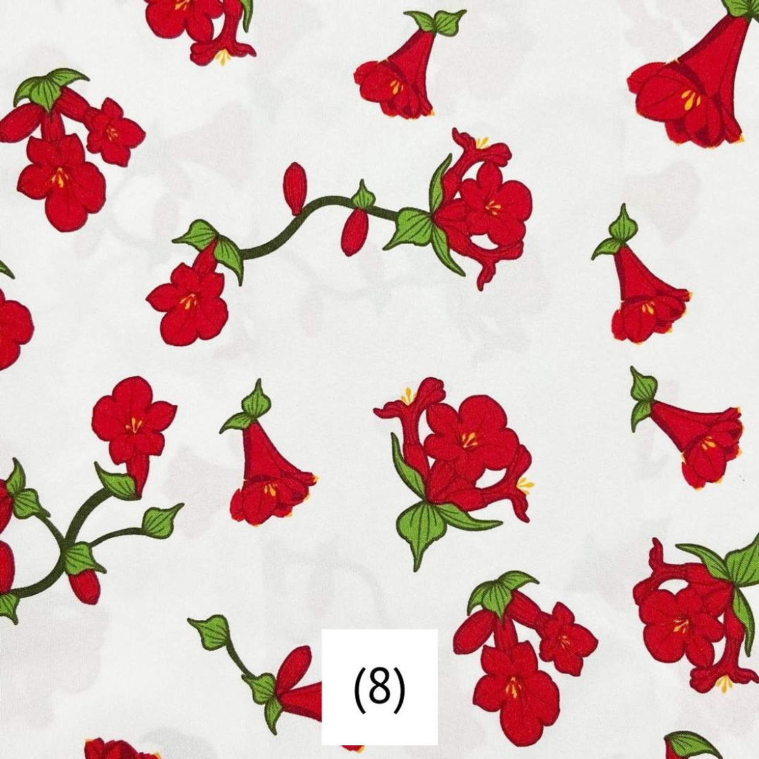 Biestrech Dieciochero 9