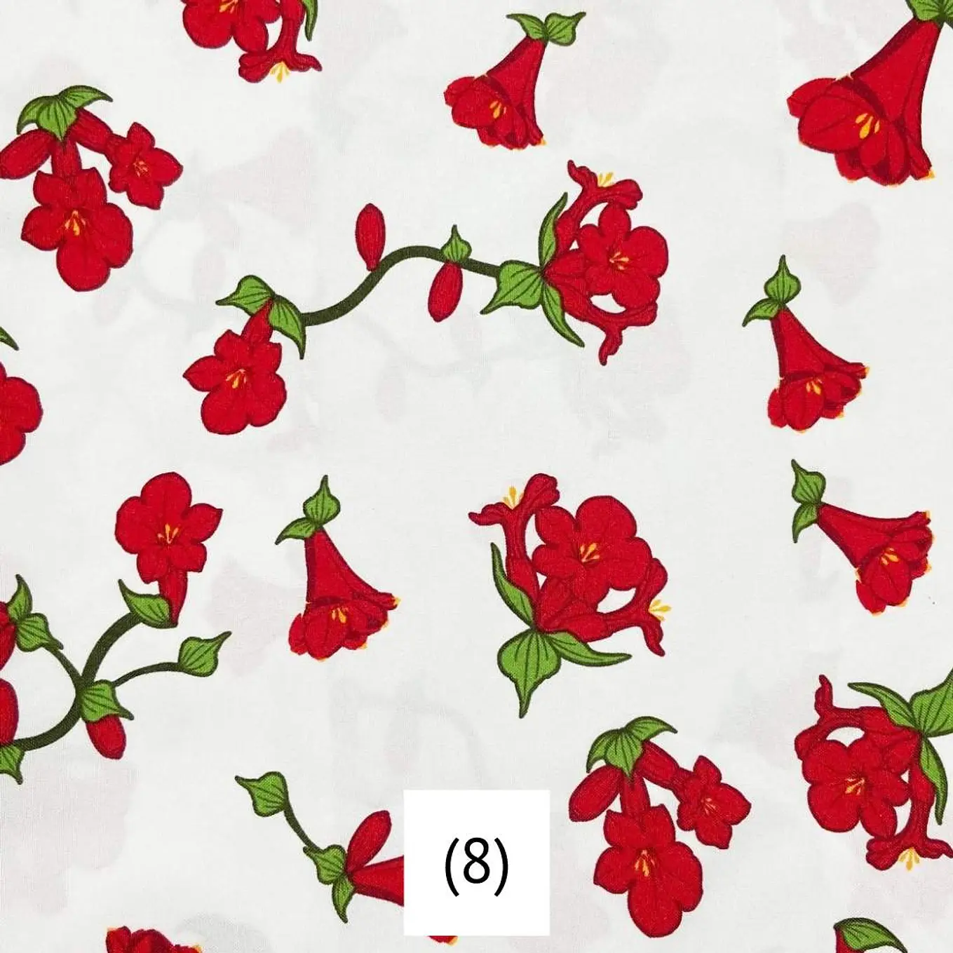 Biestrech Dieciochero 9