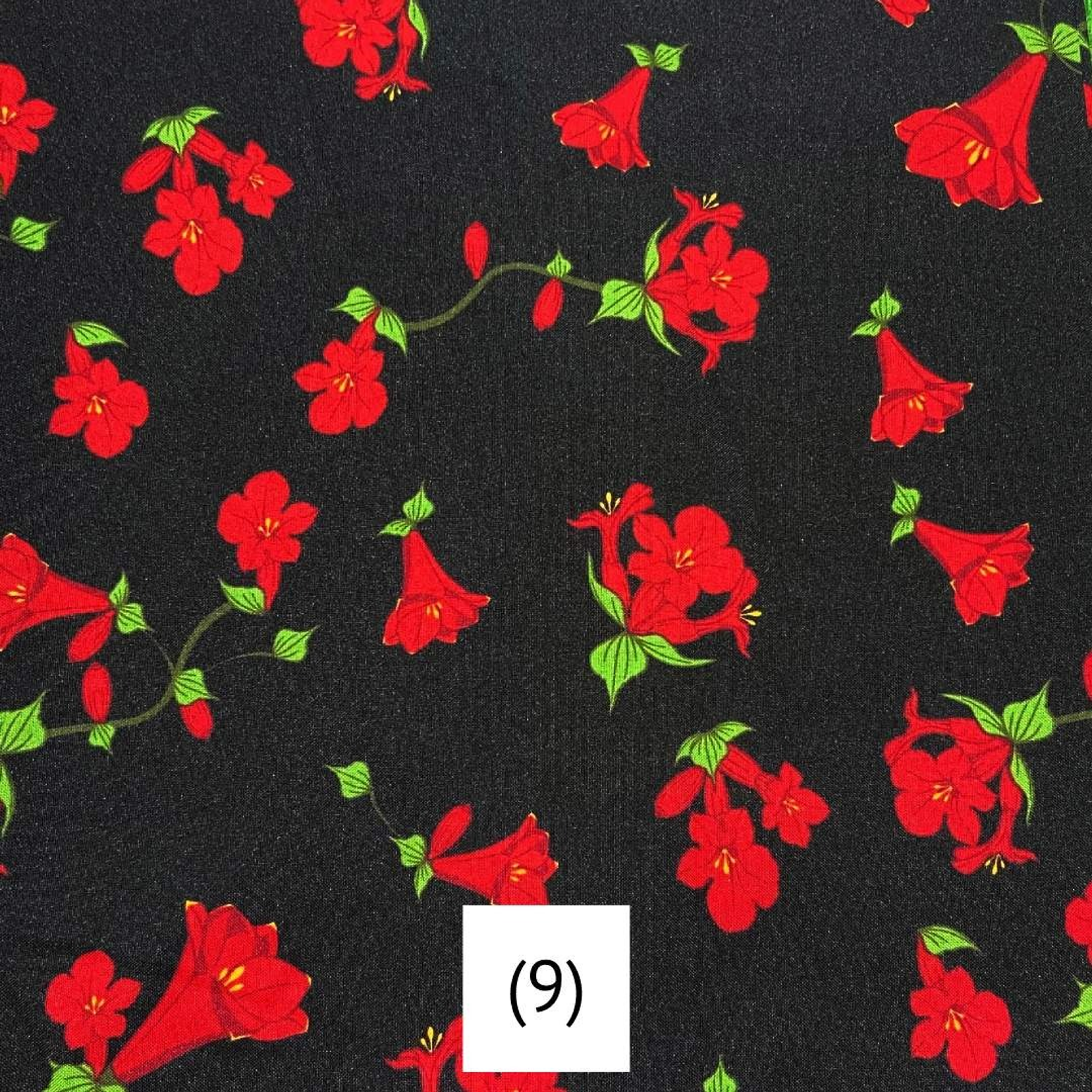 Biestrech Dieciochero 10