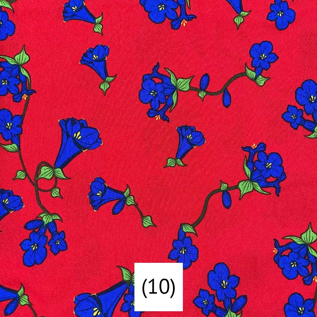 Biestrech Dieciochero 11