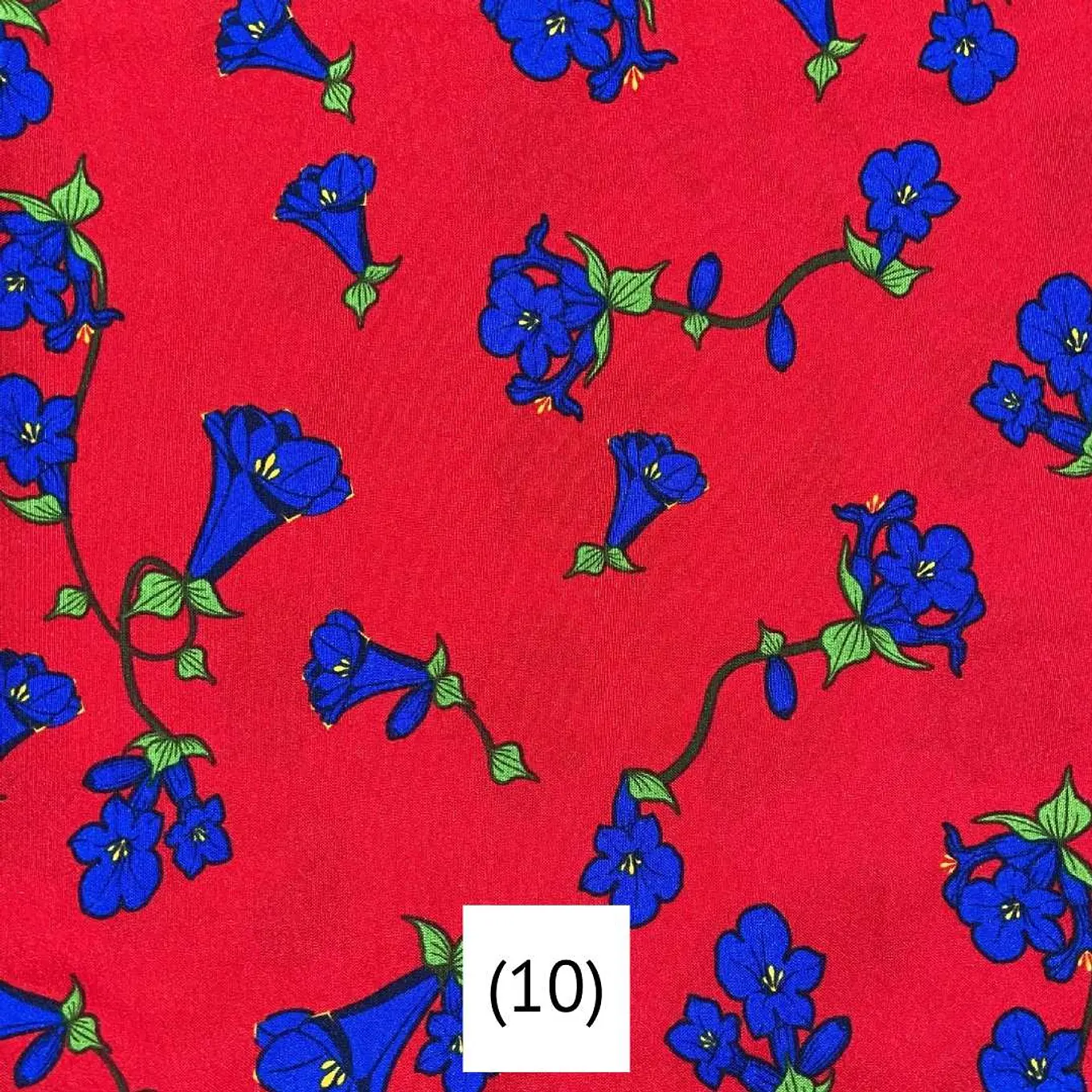 Biestrech Dieciochero 11