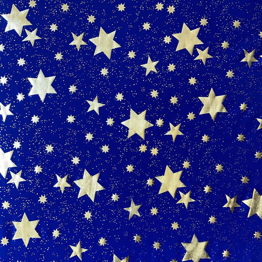 Lycra Dupont Estrellas 6