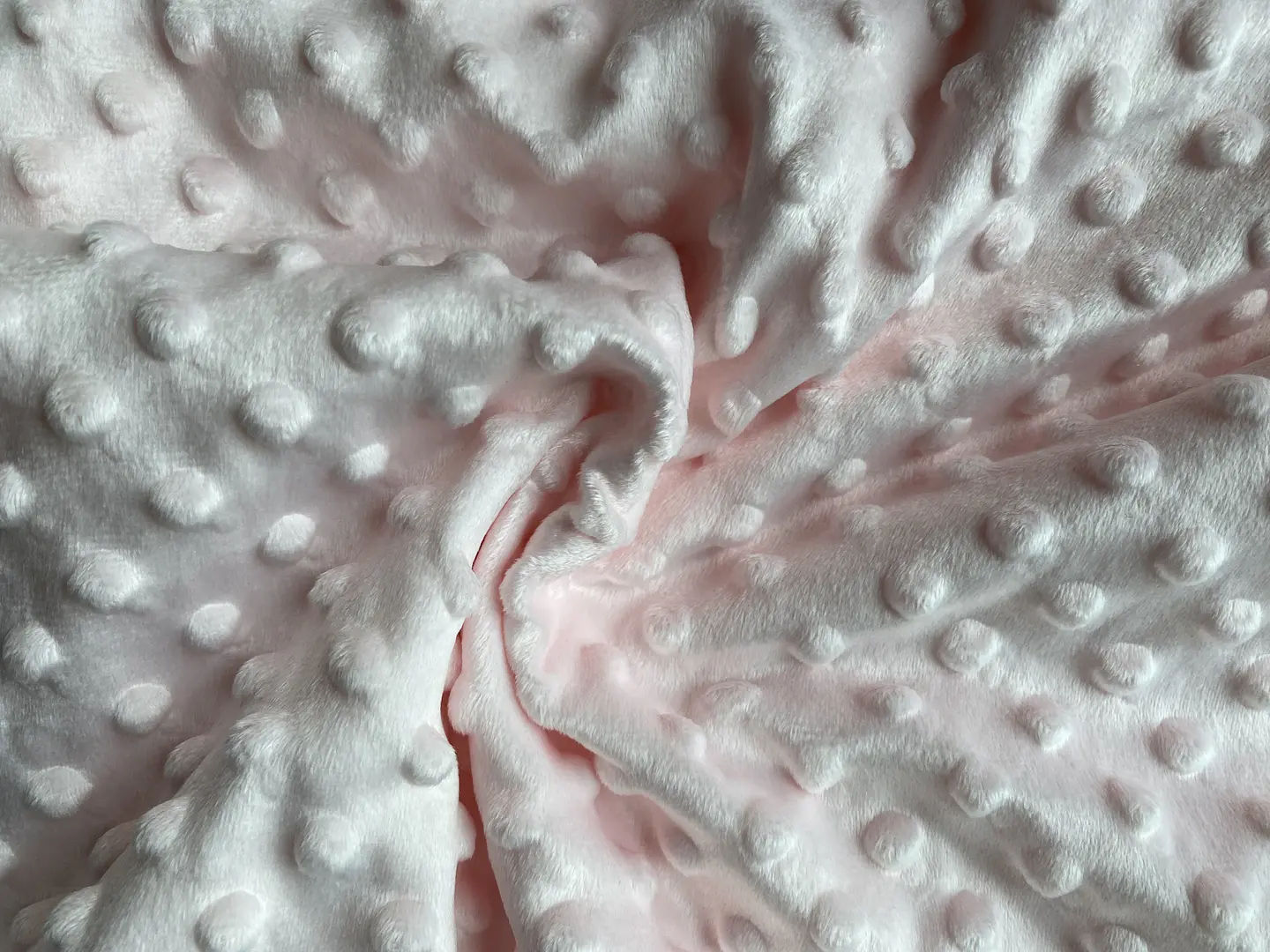 Plush Minky  5