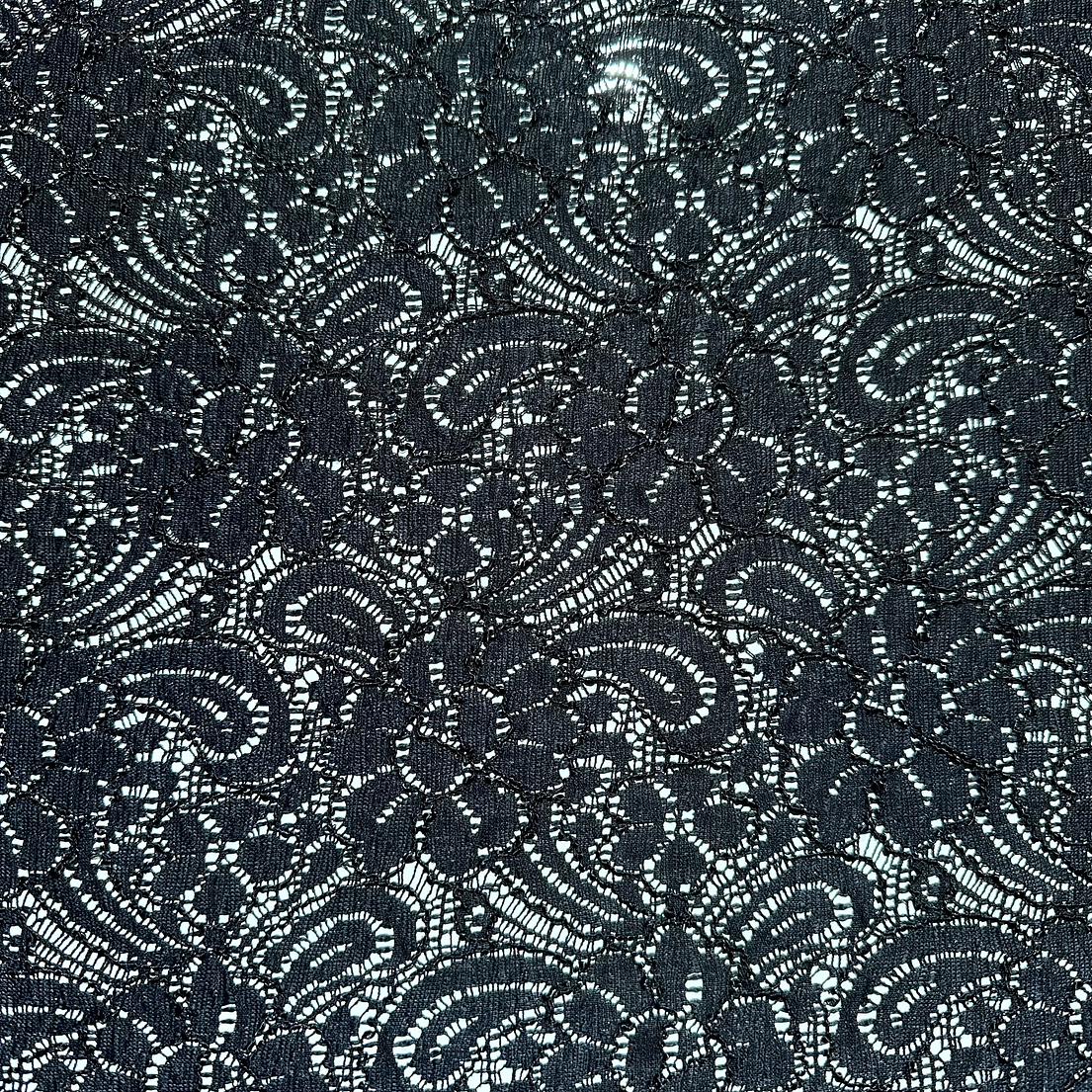 Encaje Elasticado  5