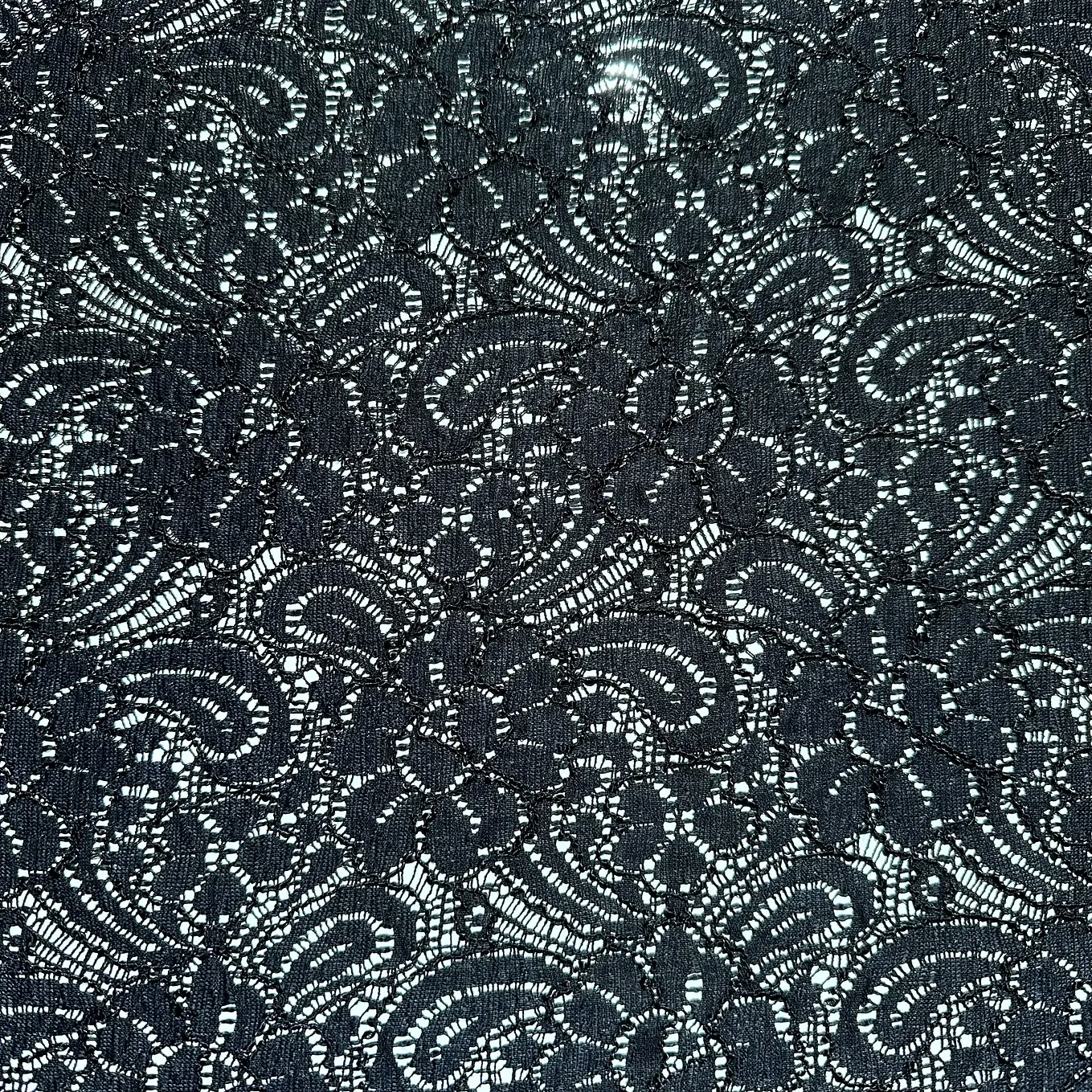 Encaje Elasticado  5