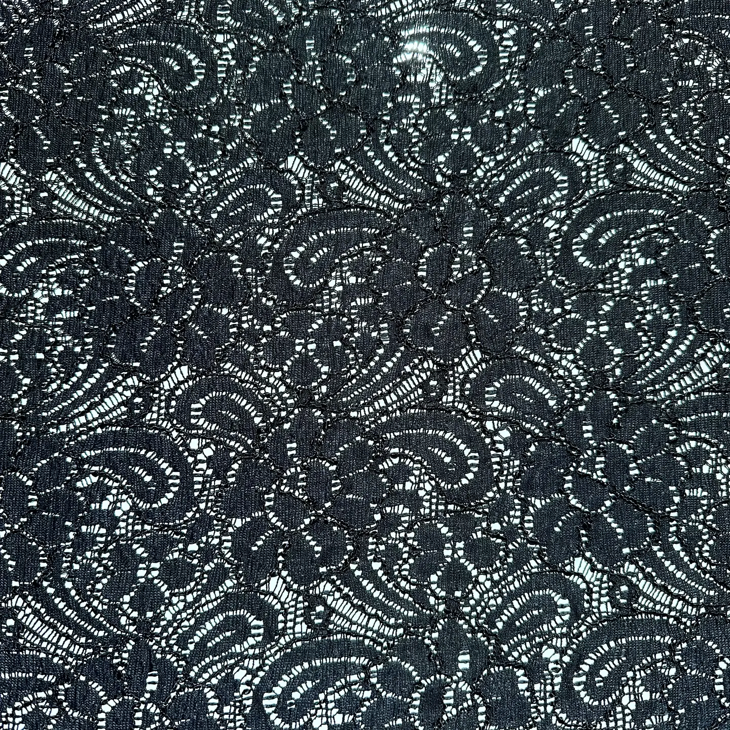 Encaje Elasticado  5