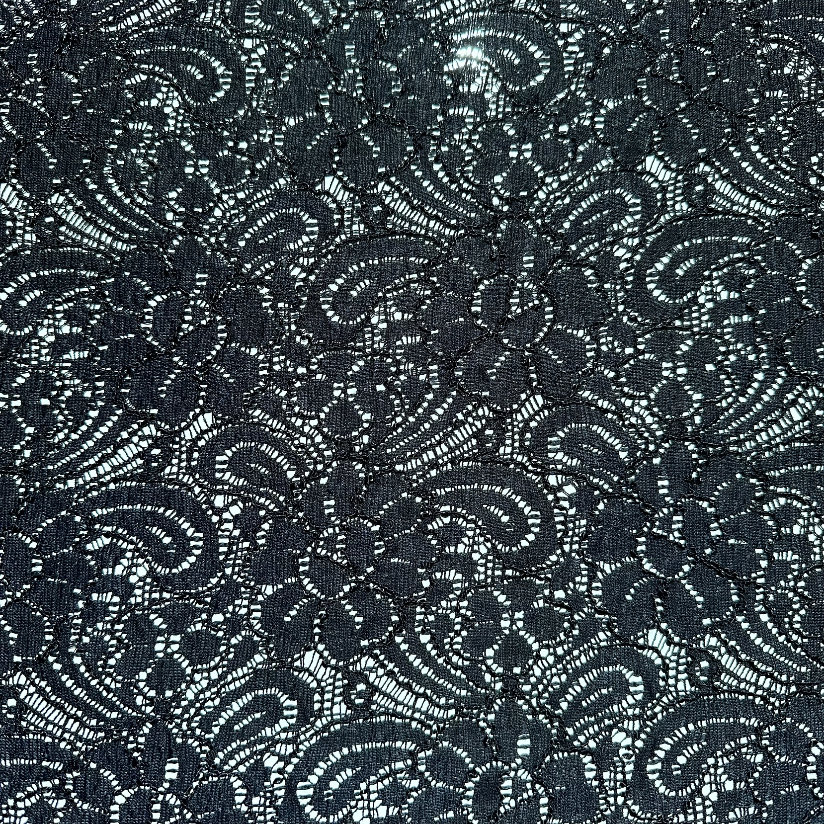 Encaje Elasticado  5