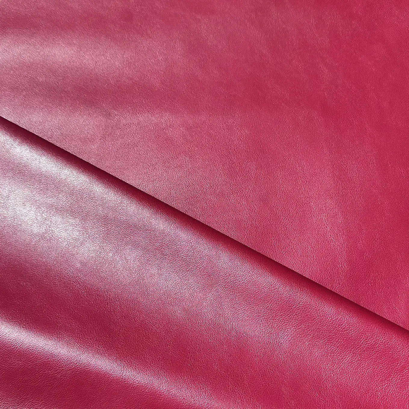 Cuerina Elasticada 2