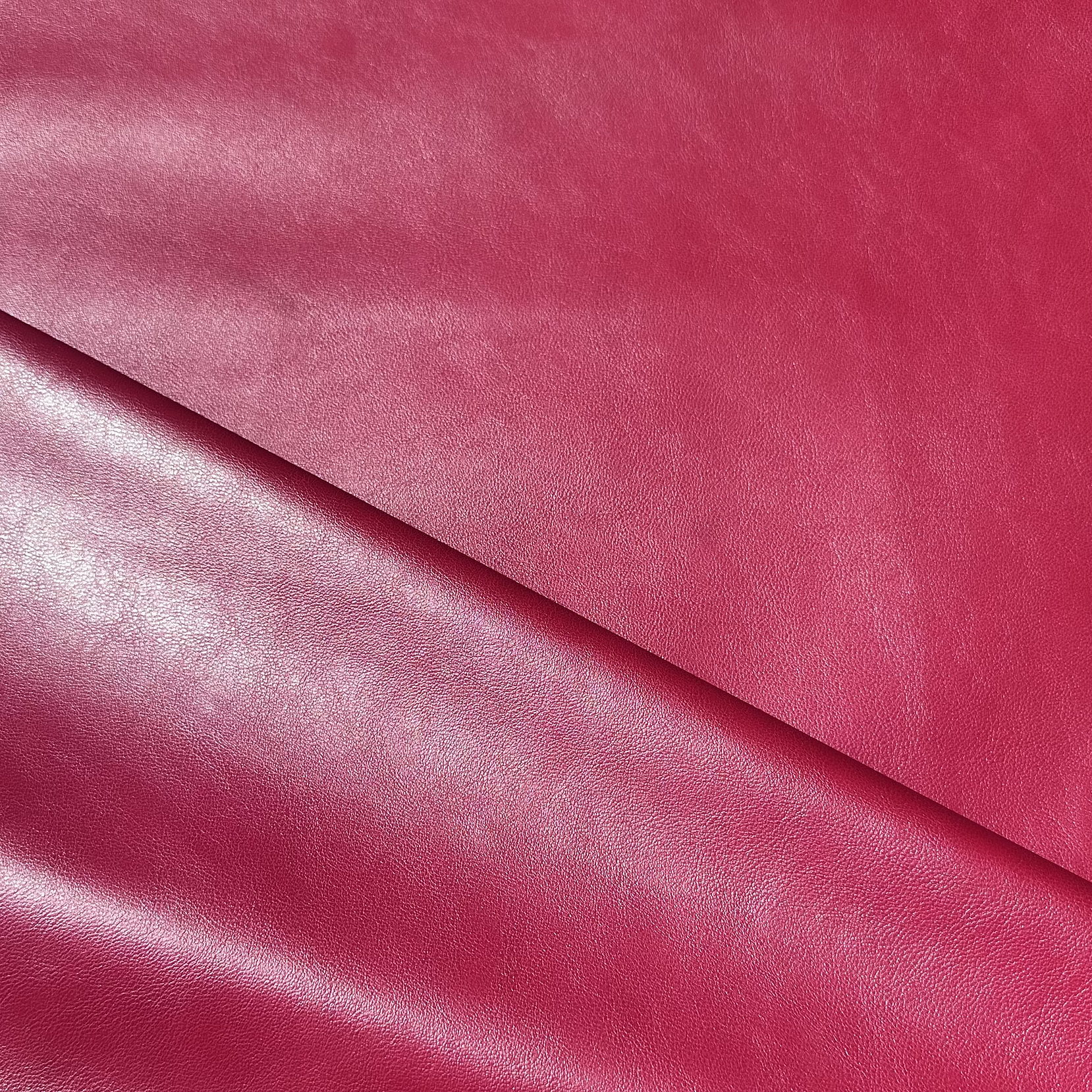 Cuerina Elasticada 2