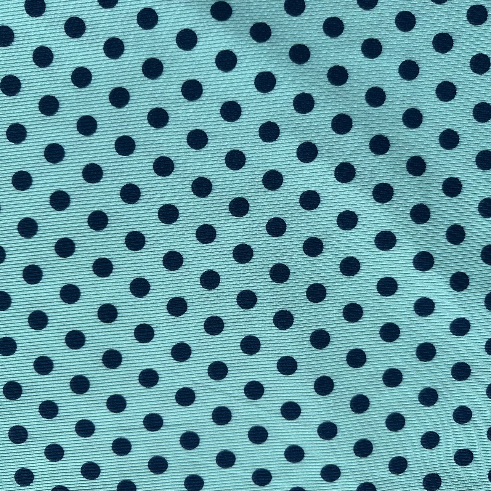 Canuton fino puntos 2