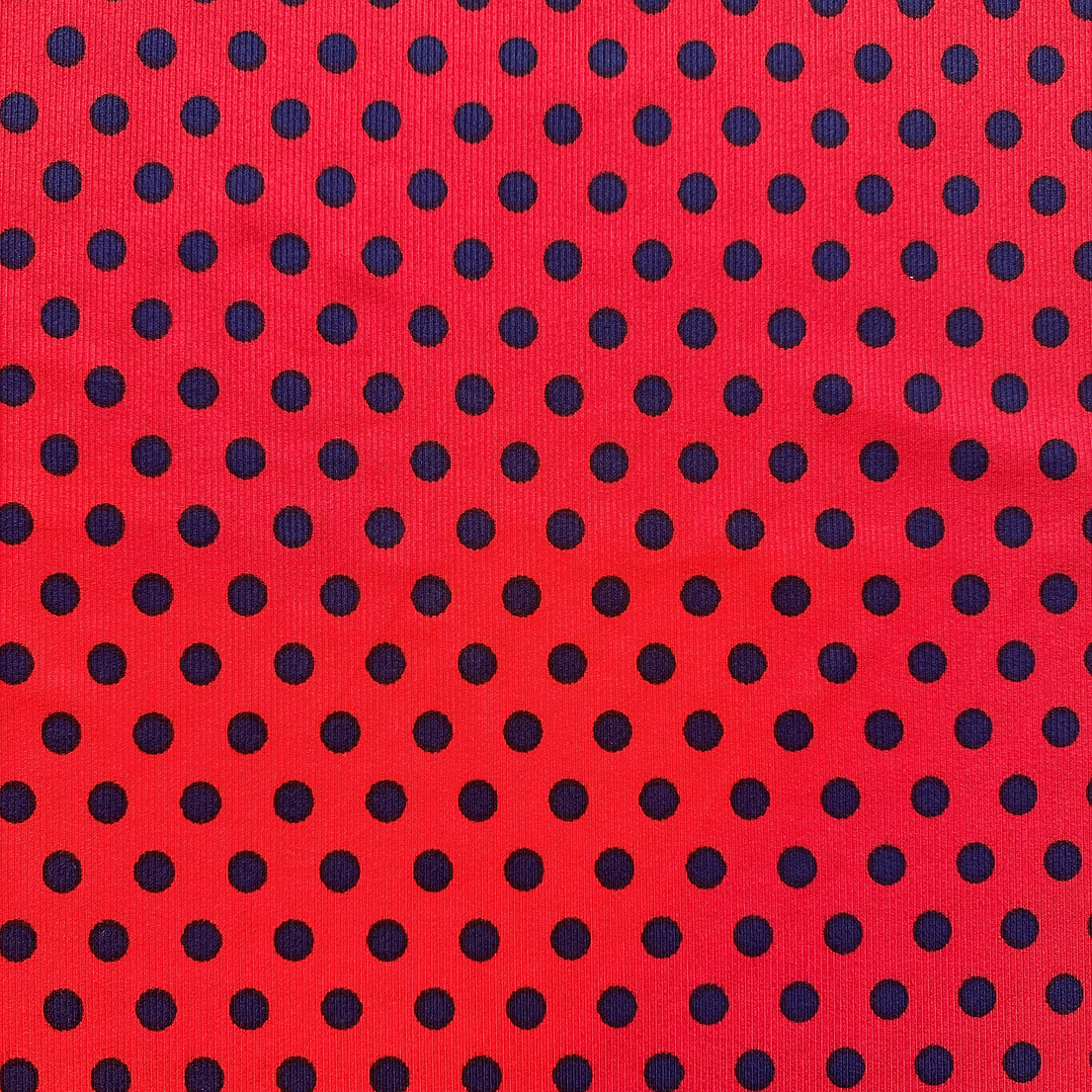 Canuton fino puntos 5