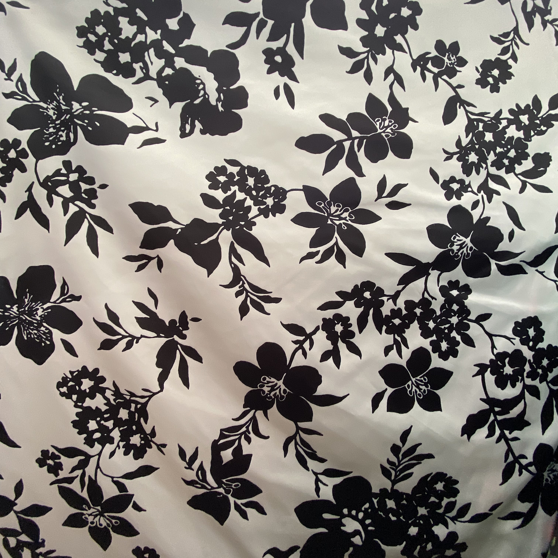 Piel de Ángel Diseño  2