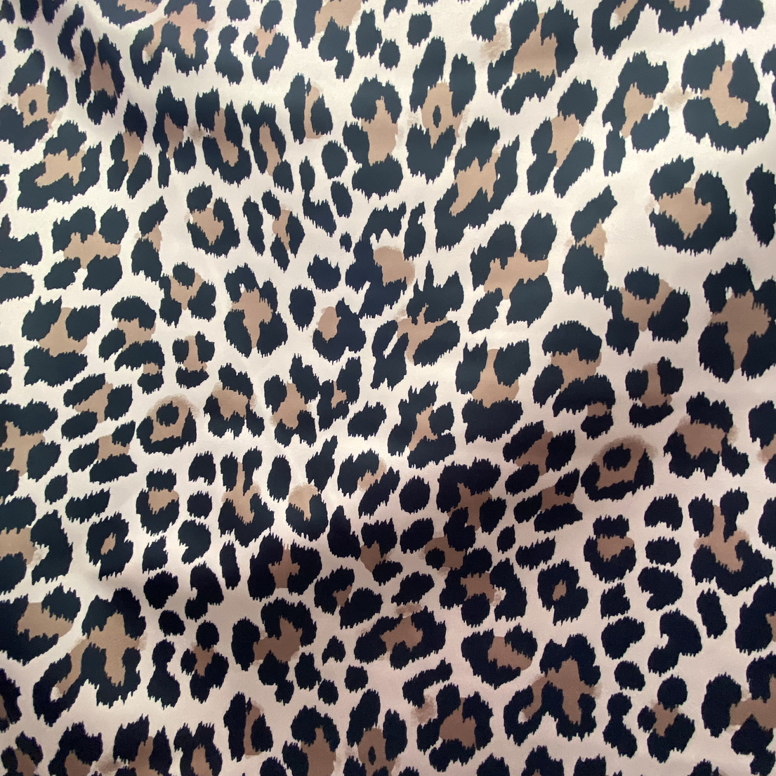 Piel de Ángel Diseño  5