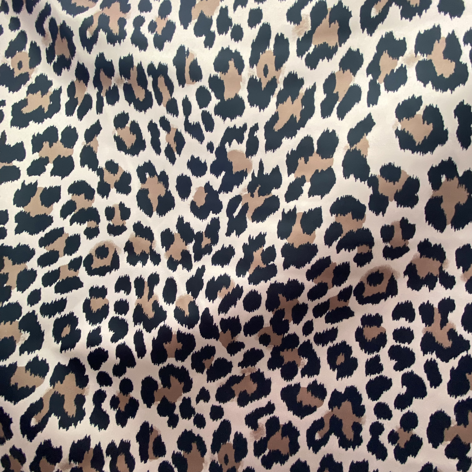 Piel de Ángel Diseño  5