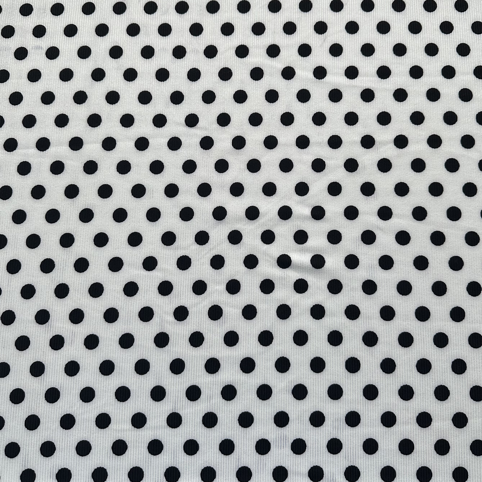 Canuton fino puntos 8