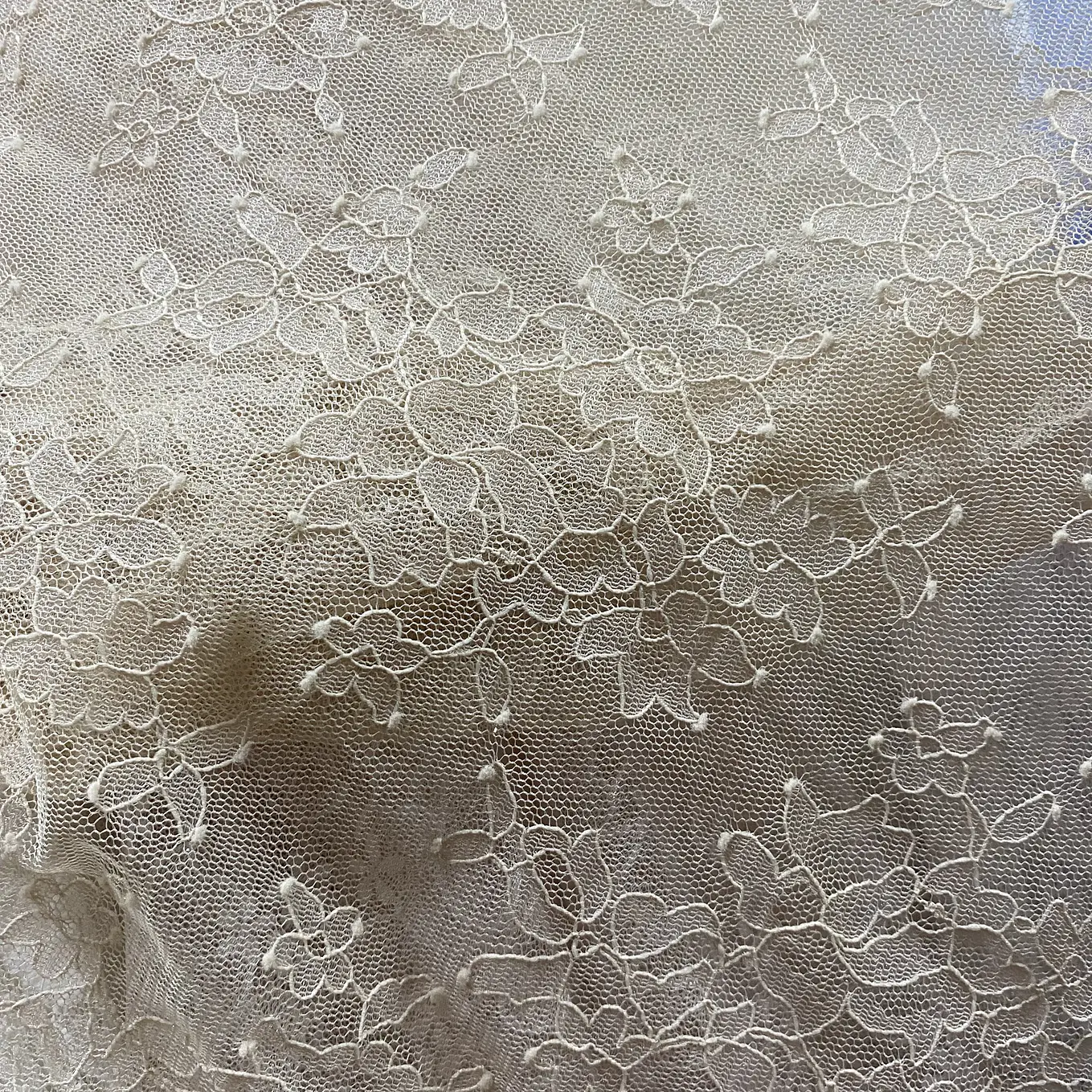 Encaje Elasticado ✨ 2