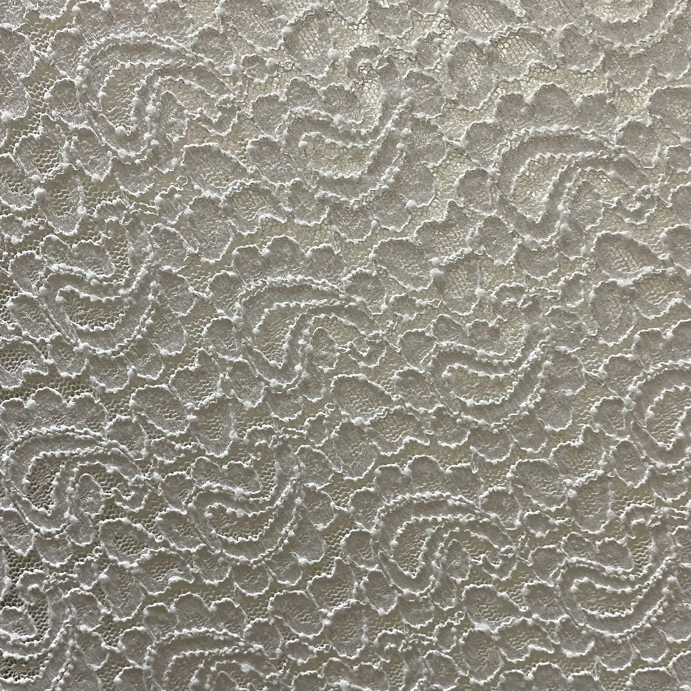 Encaje Elasticado ✨ 8