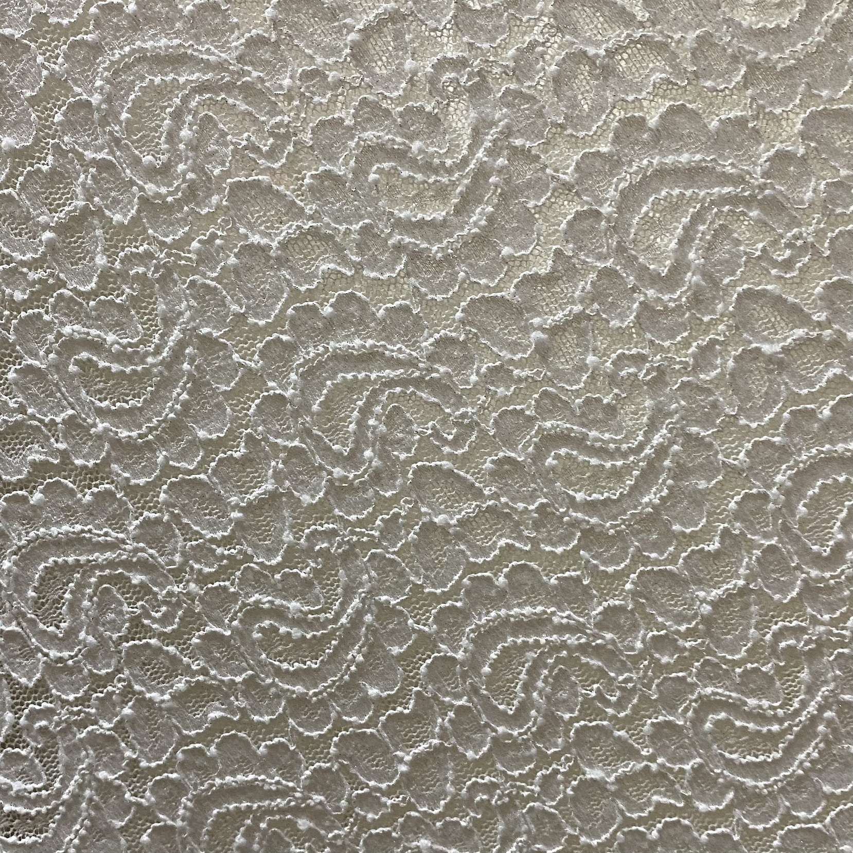 Encaje Elasticado ✨ 8