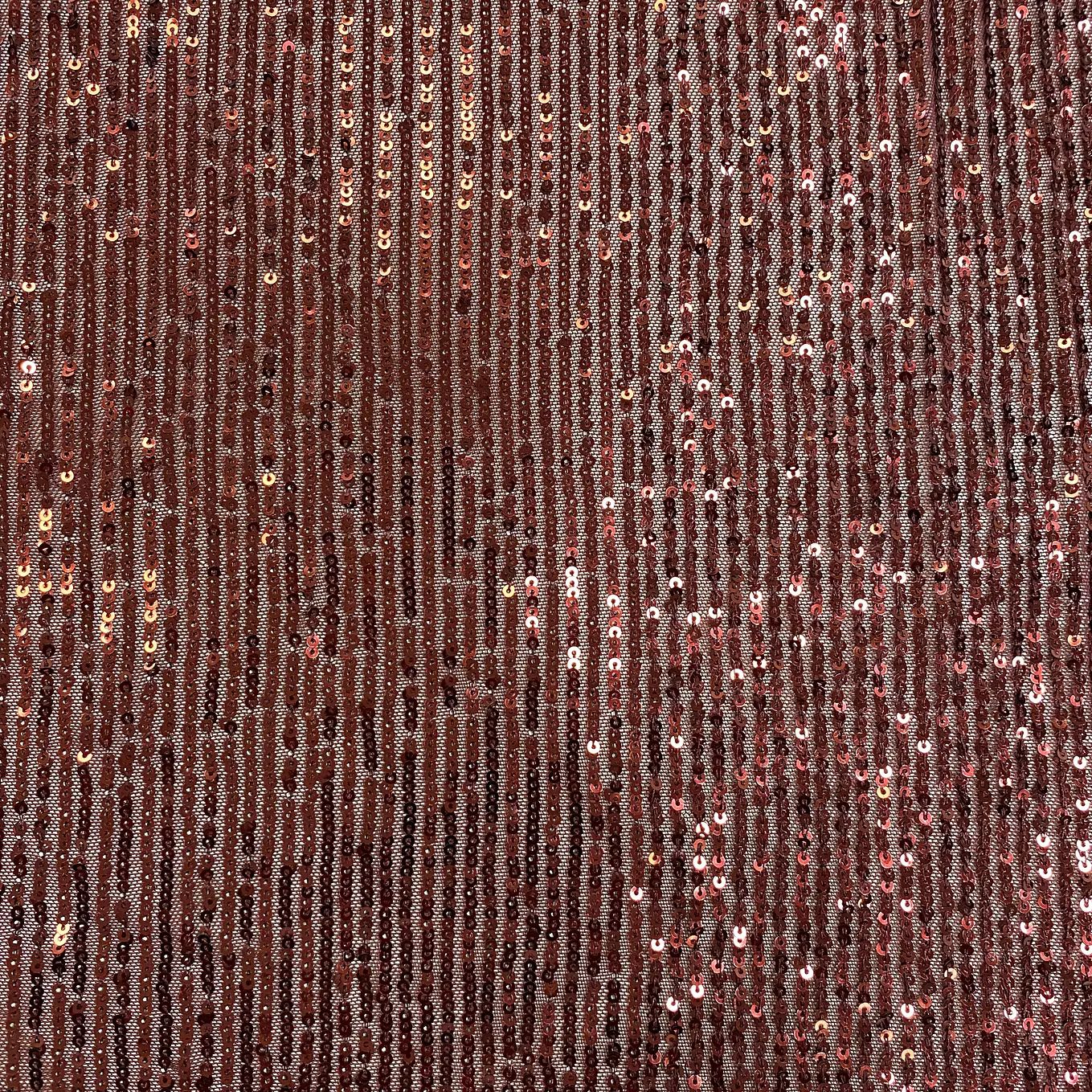 Lentejuelas Elasticada 6