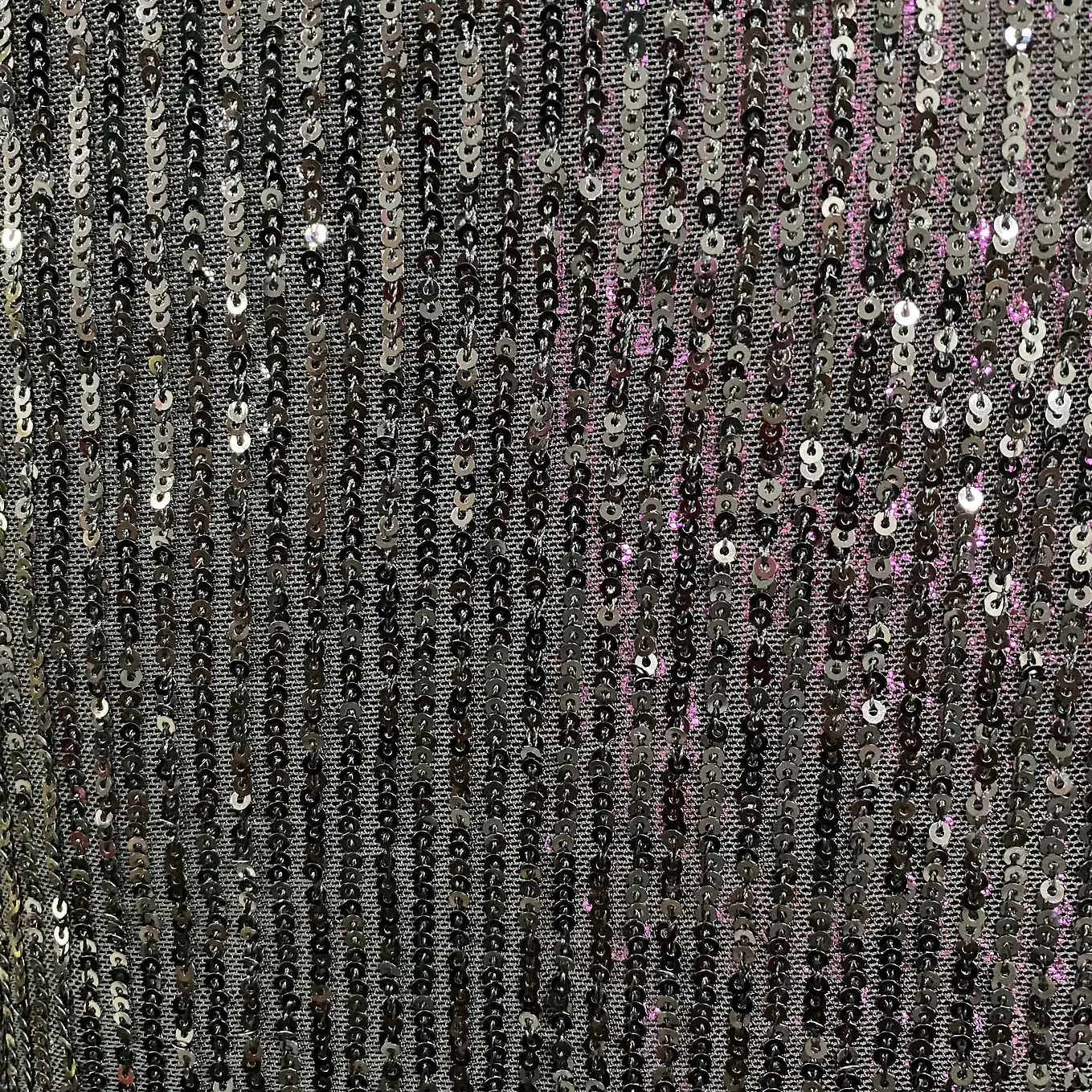 Lentejuelas Elasticada 3