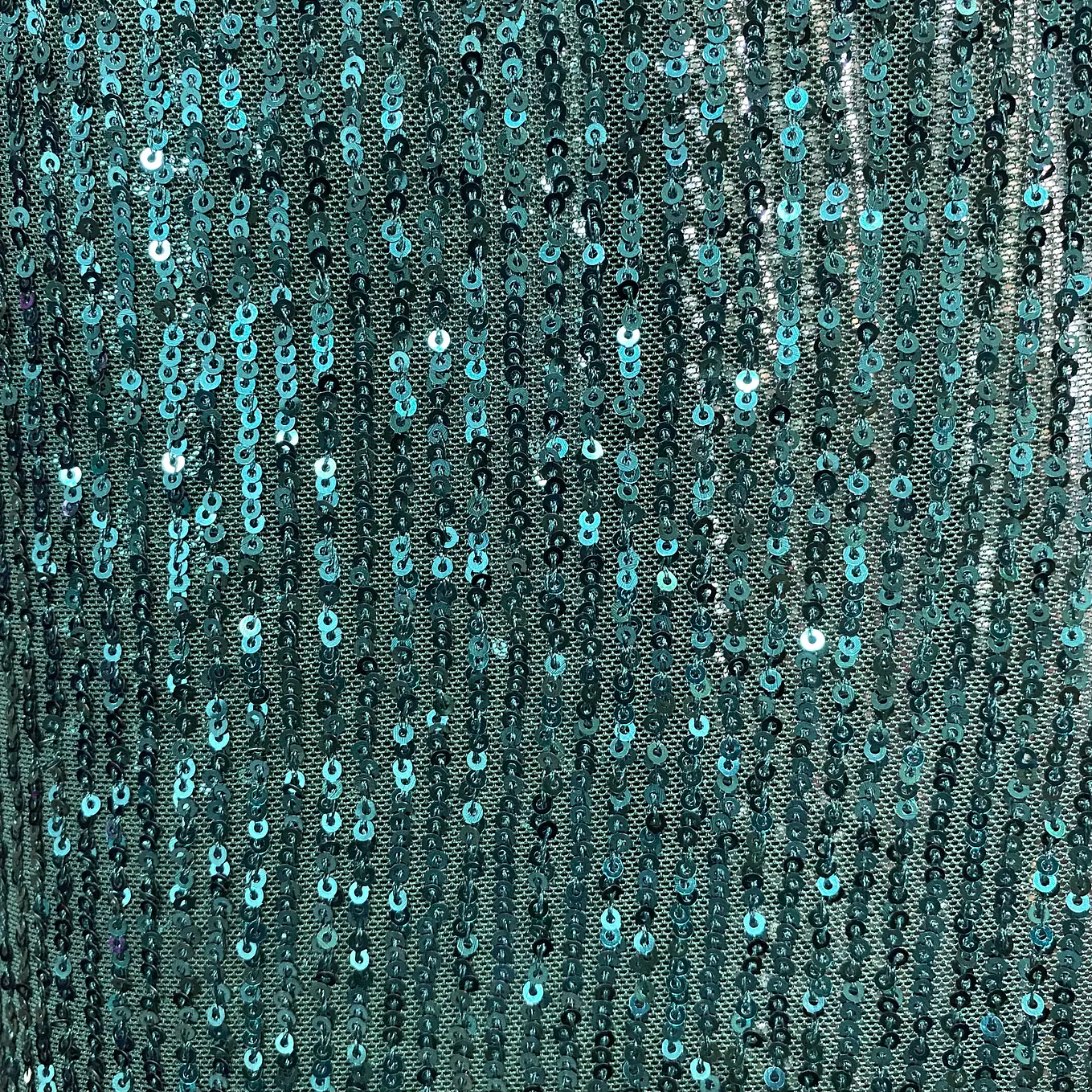 Lentejuelas Elasticada 4