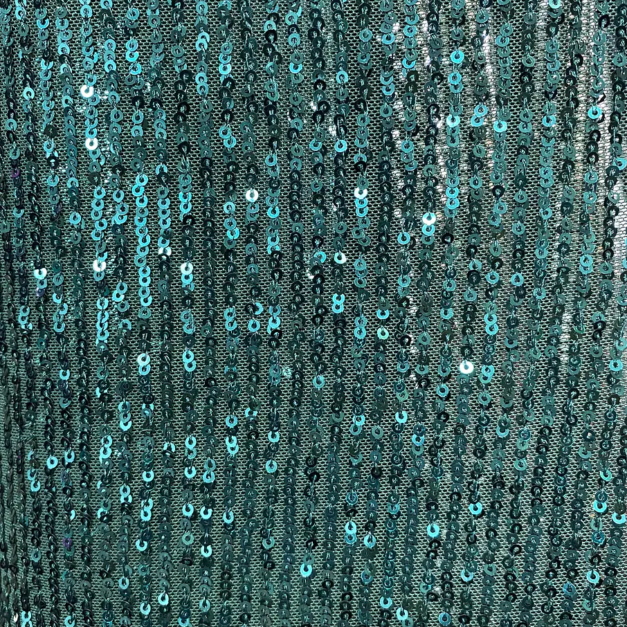 Lentejuelas Elasticada 4