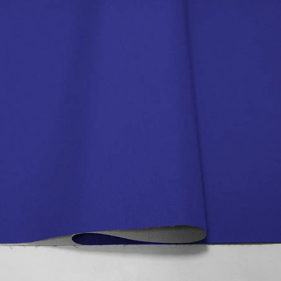 Taslan Rip-Stop Pu 2