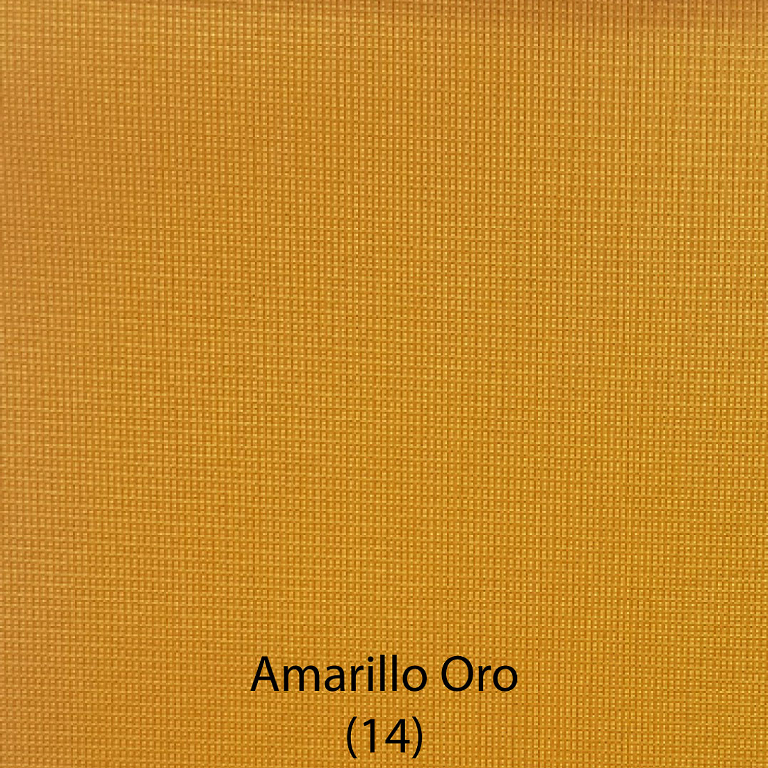 Franela FANTASIA  14