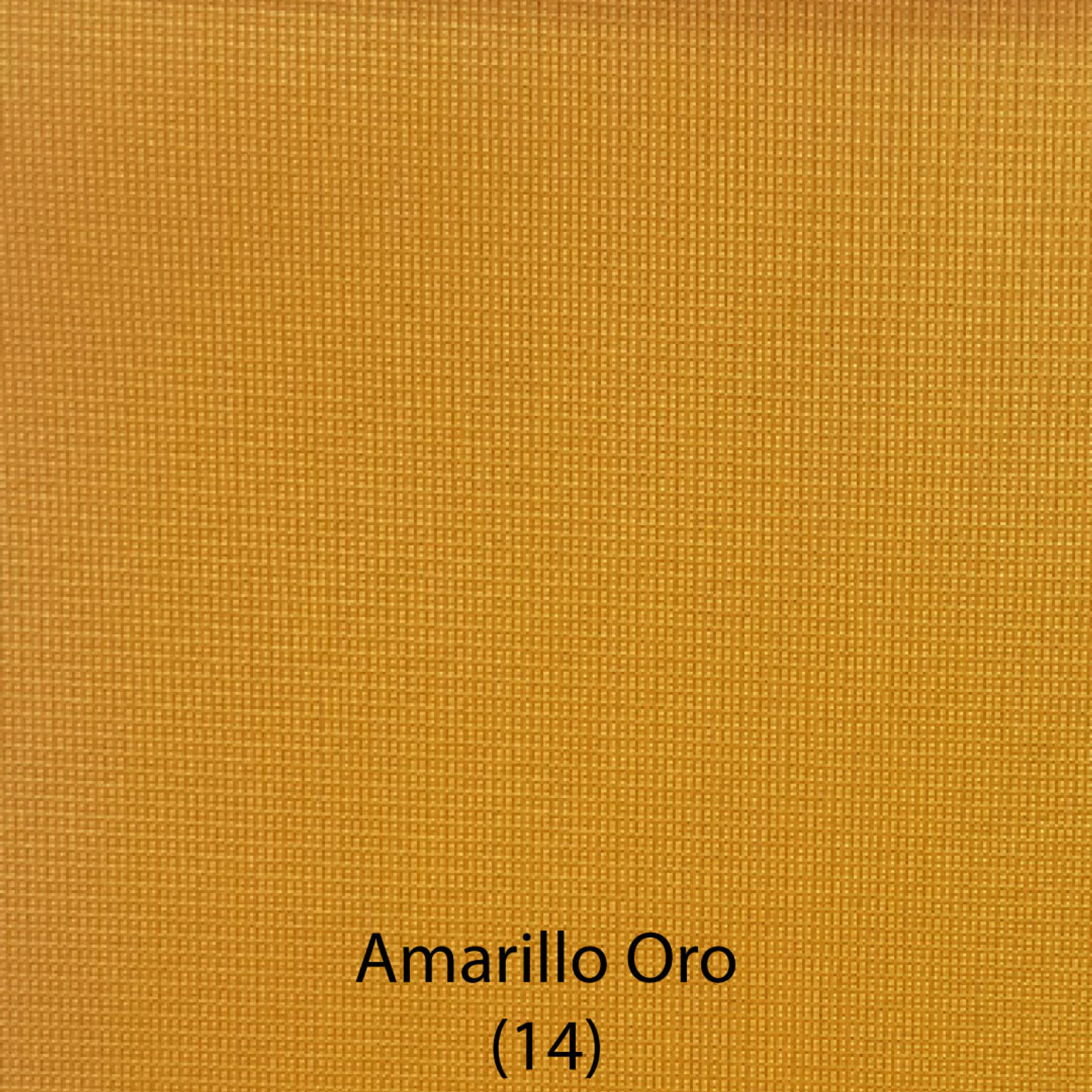 Franela FANTASIA  14