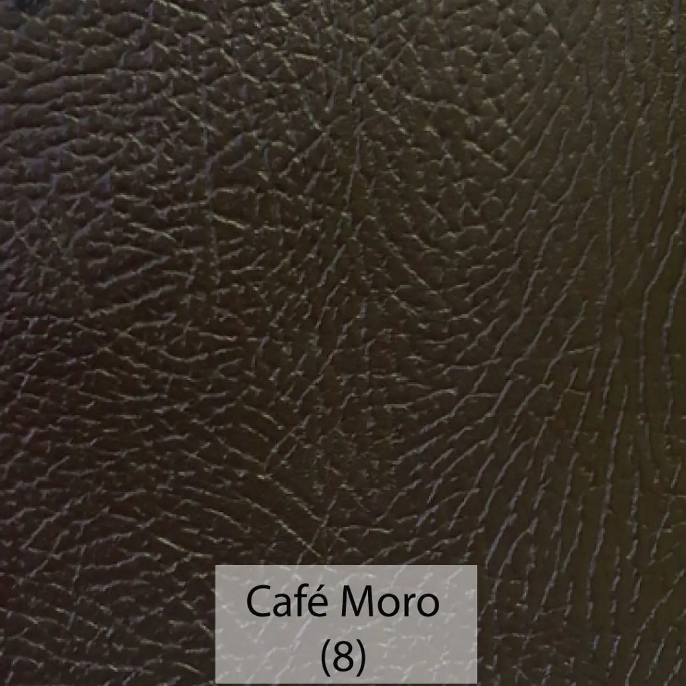 Cuerina Asset 8
