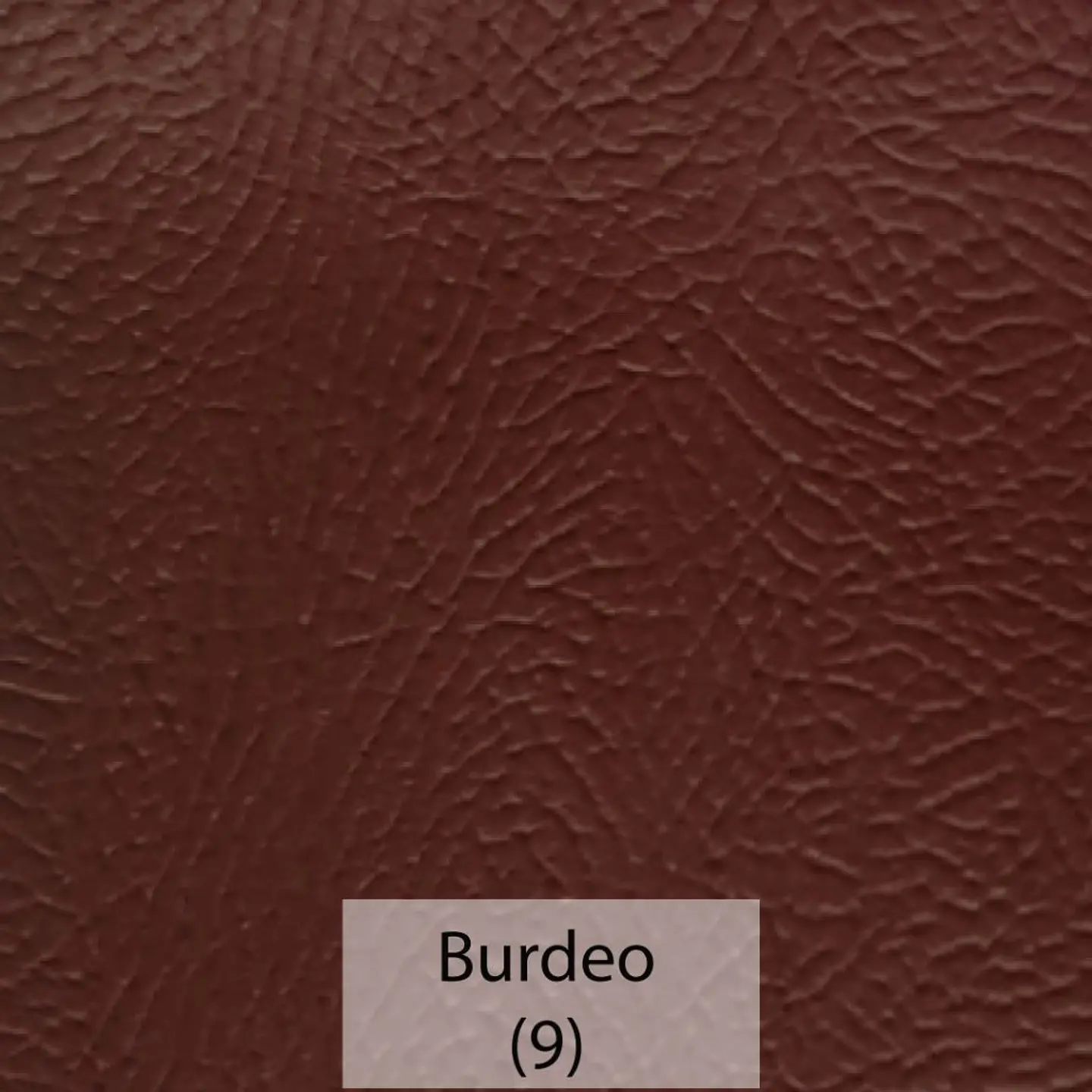 Cuerina Asset 9
