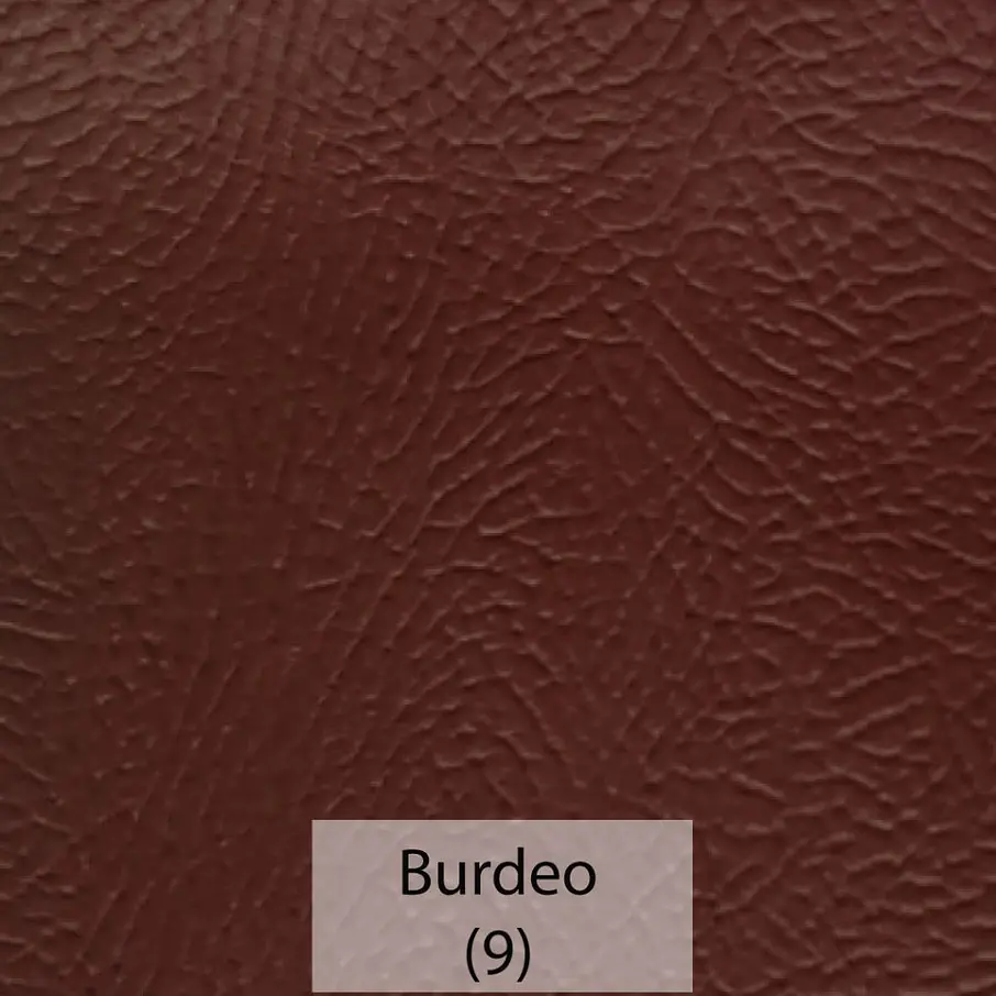 Cuerina Asset 9