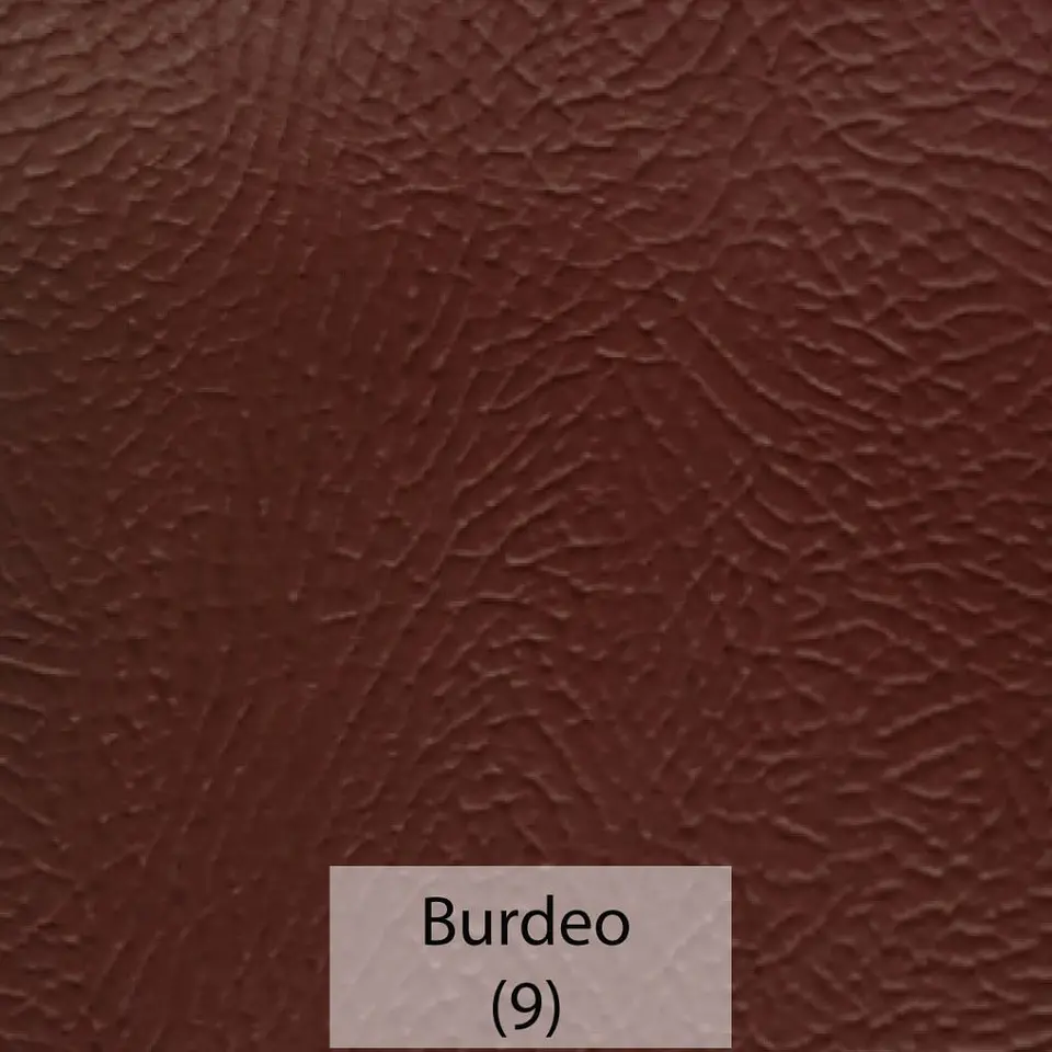 Cuerina Asset 9