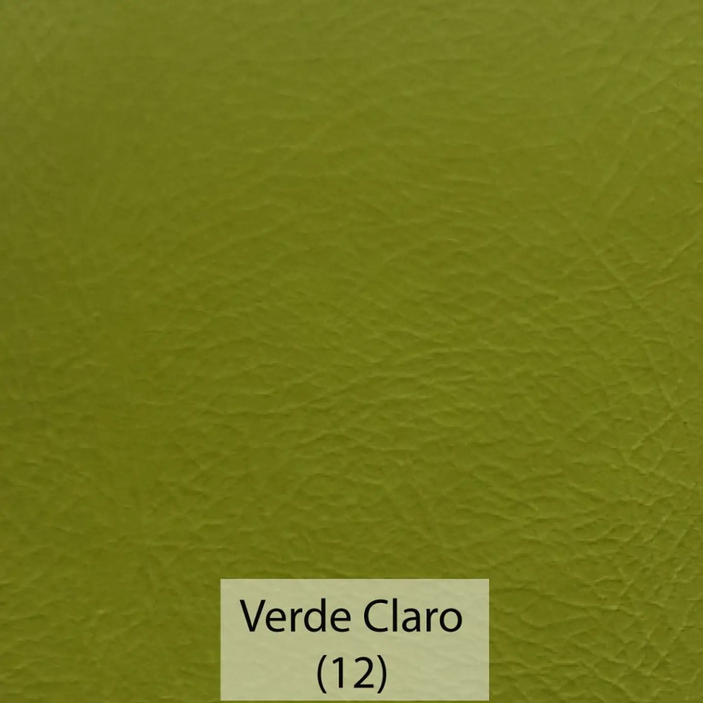 Cuerina Asset 12