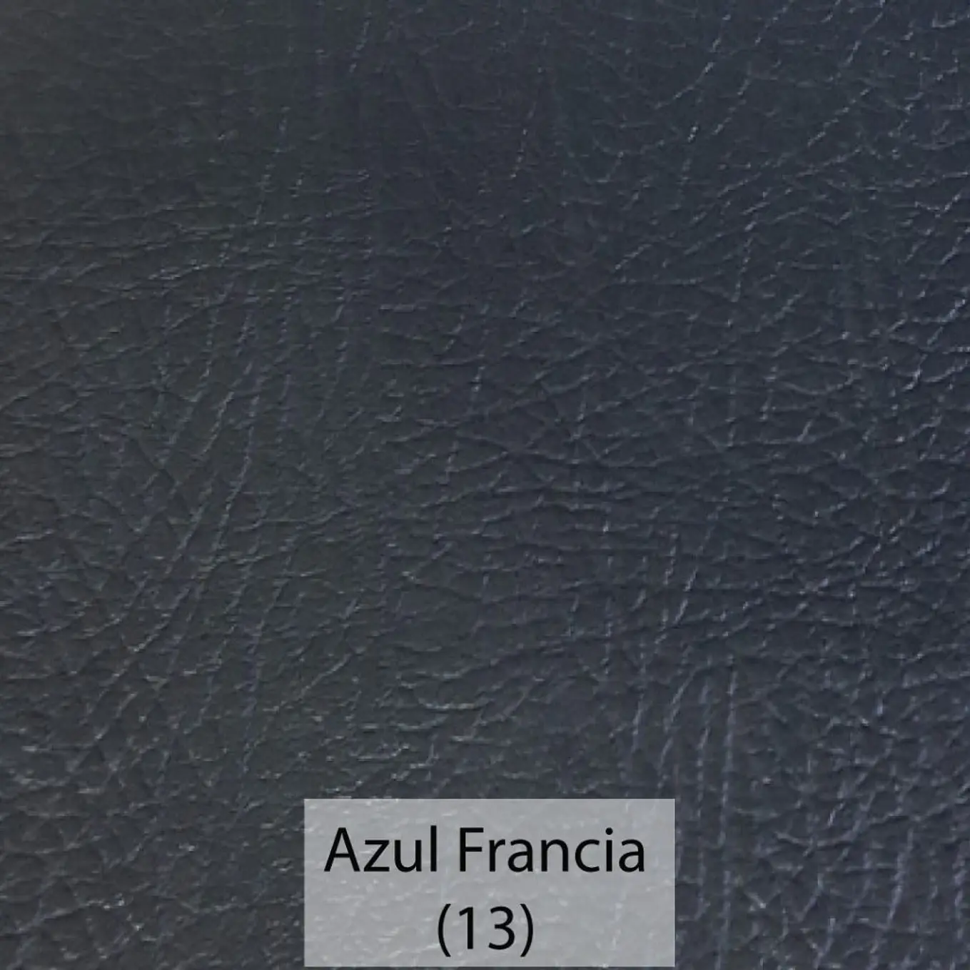 Cuerina Asset 13