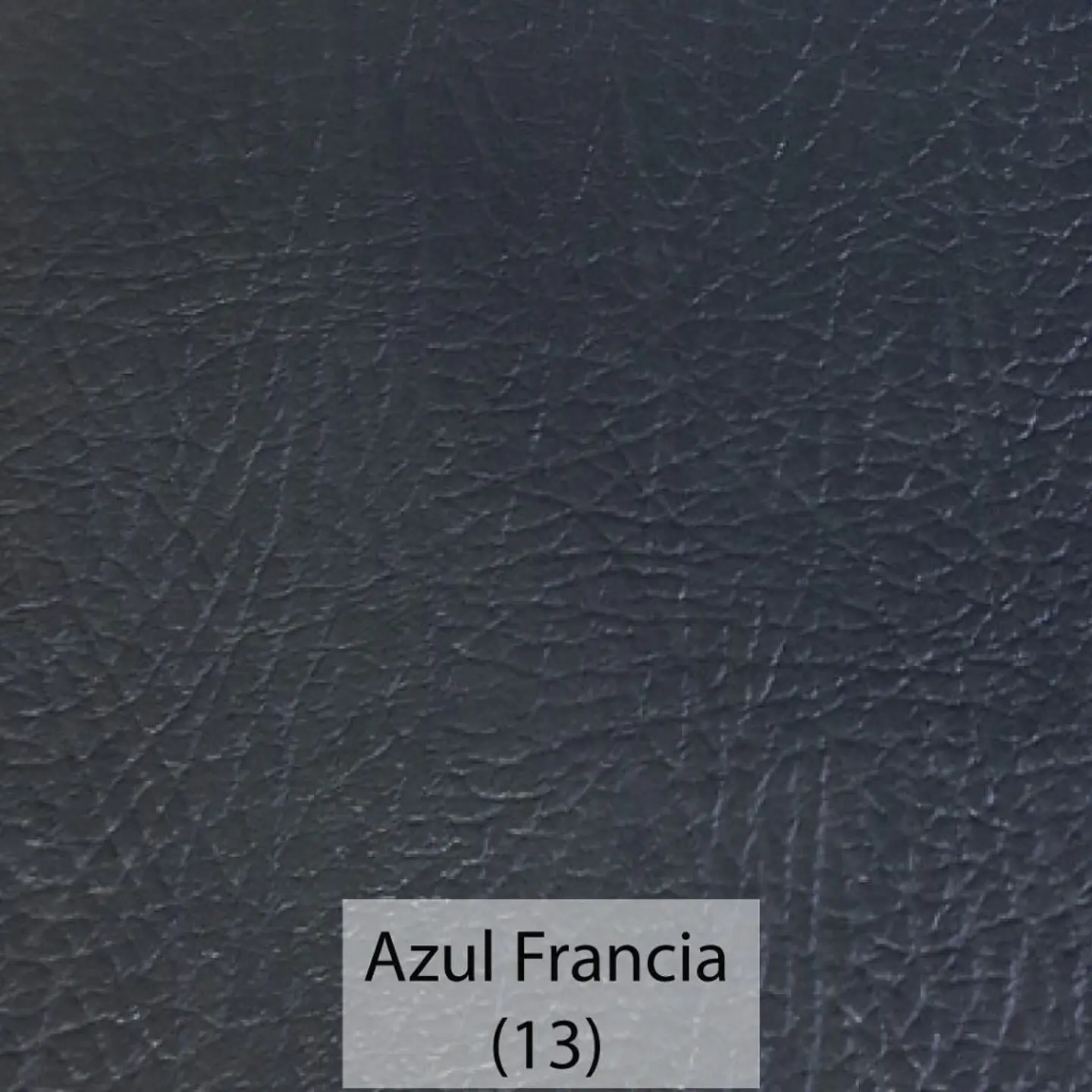 Cuerina Asset 13