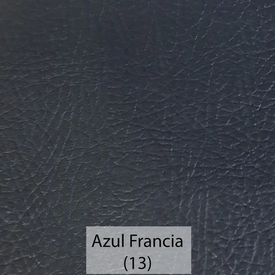 Cuerina Asset 13
