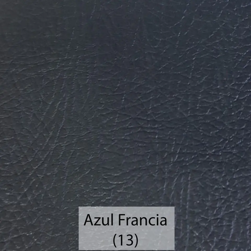Cuerina Asset 13