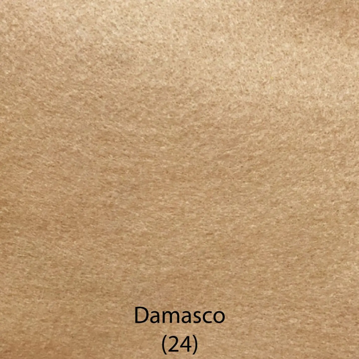 Paño Lency  15