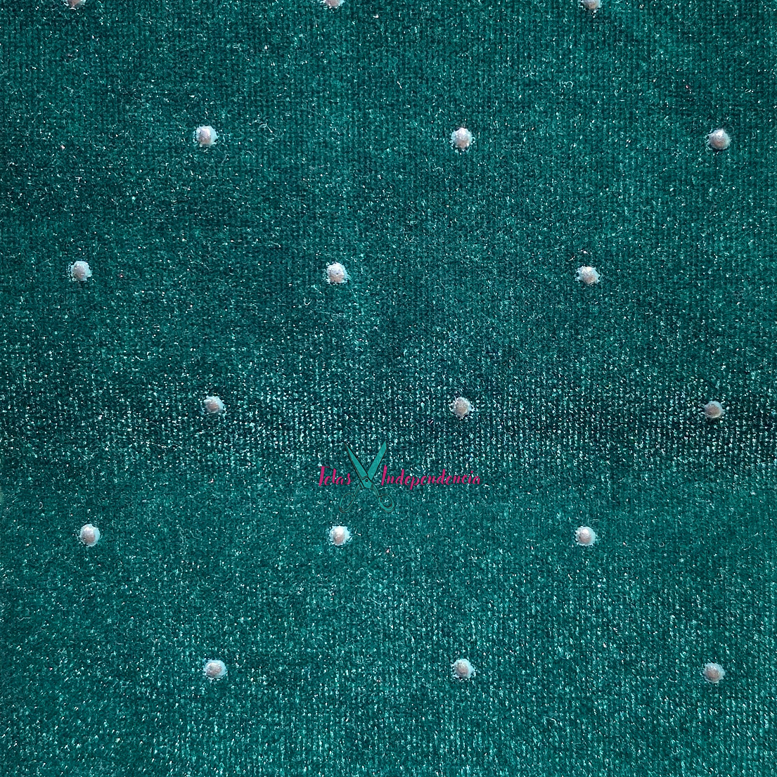 Terciopelo Tachas  2