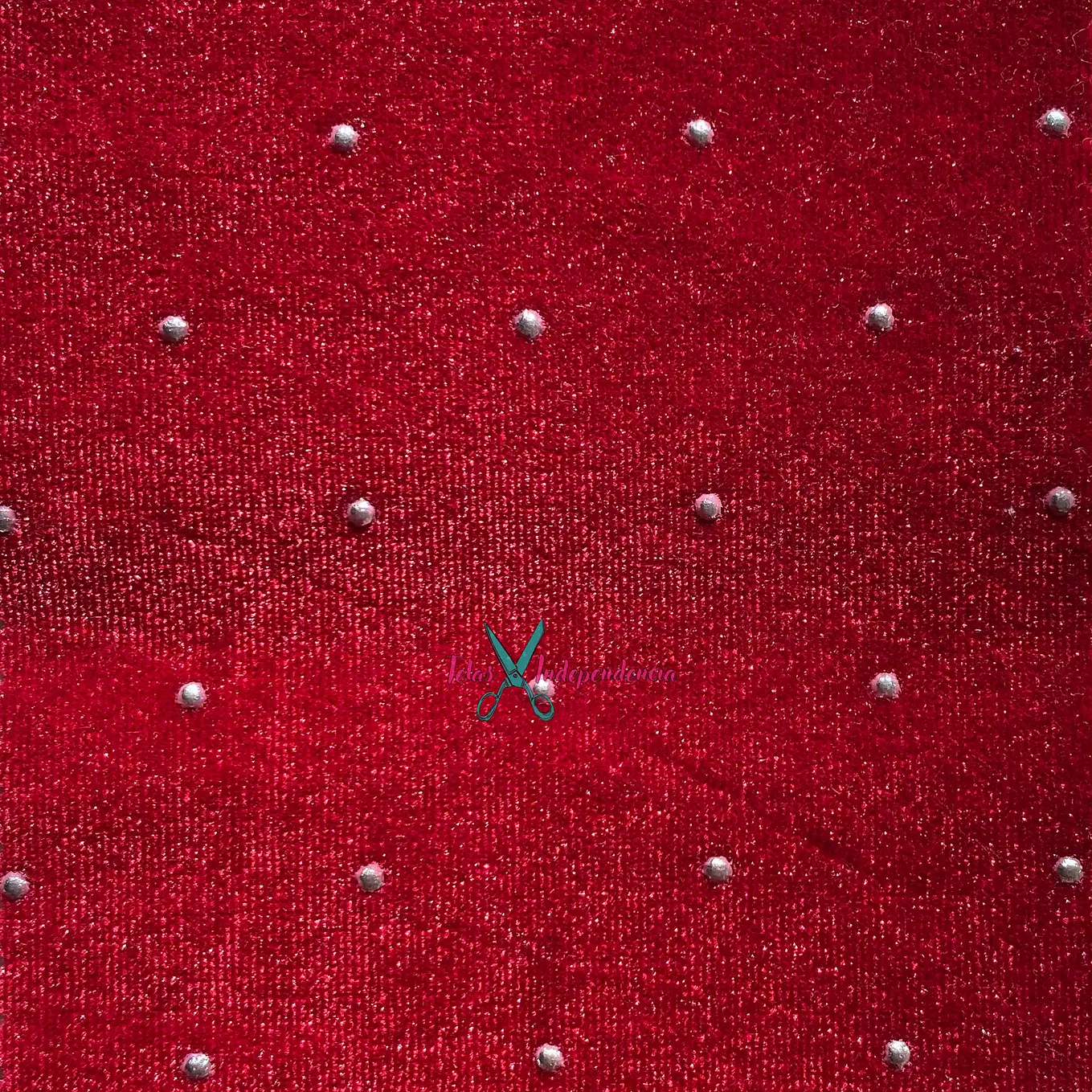 Terciopelo Tachas  2