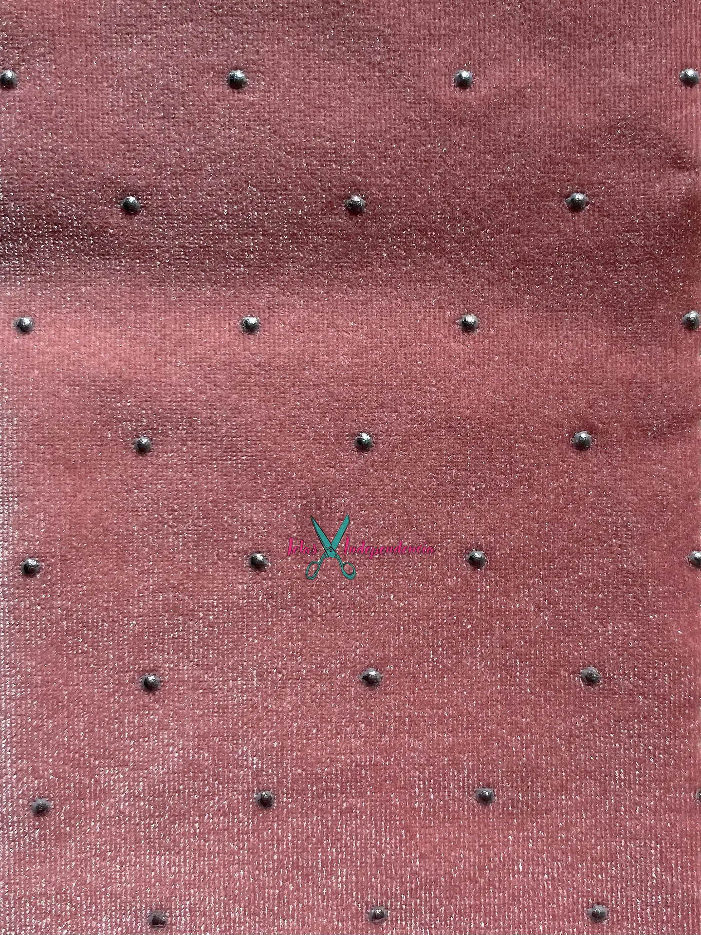 Terciopelo Tachas  4