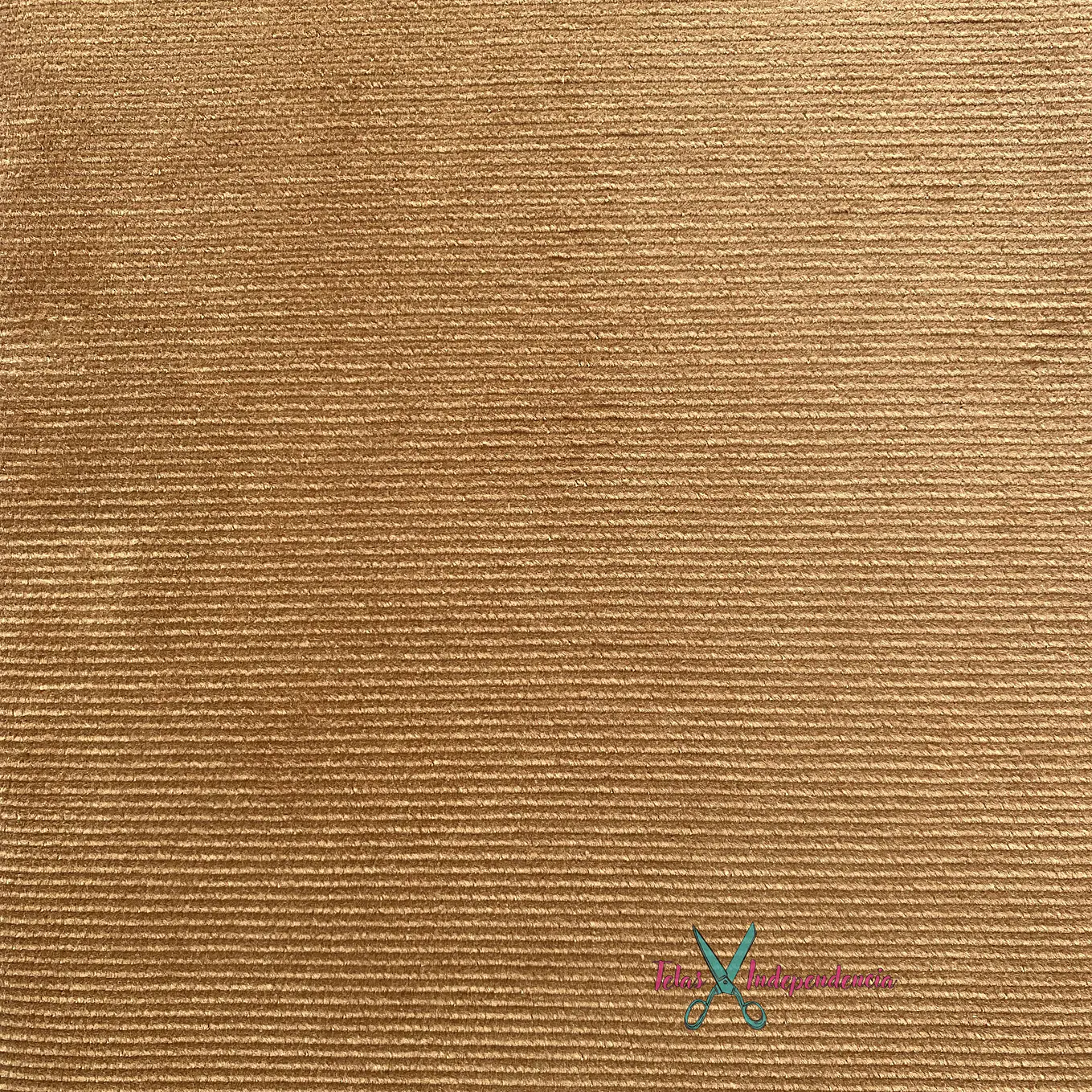 Cotelé Elasticado 4