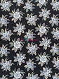 Lycra Dupont Flores - Miniatura 9
