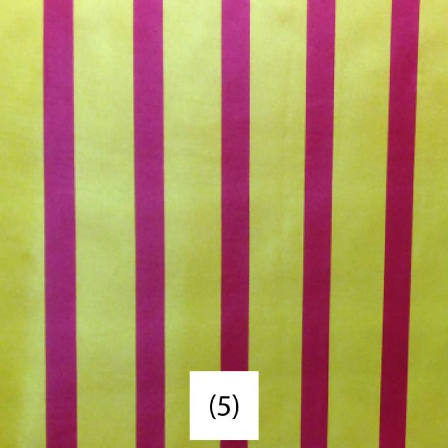 Raso Estampado 5