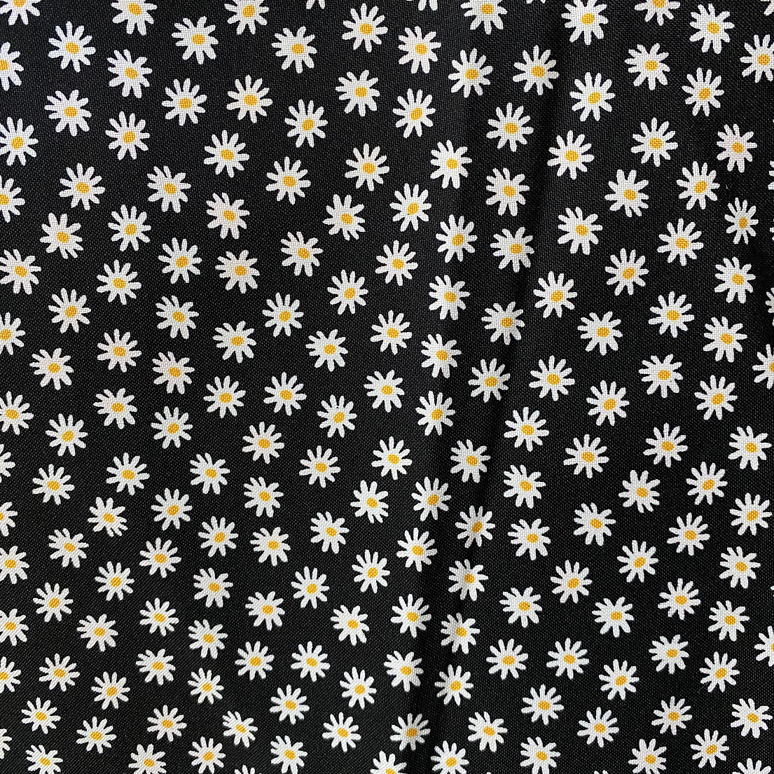 Biestrech Margaritas  2