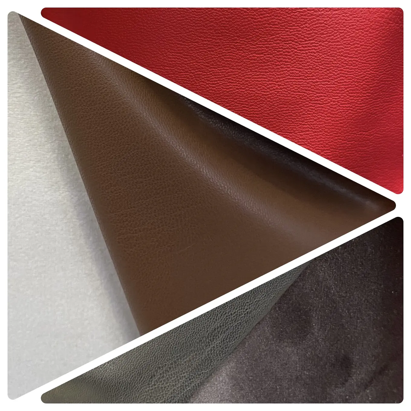 Cuerina con Carda  1