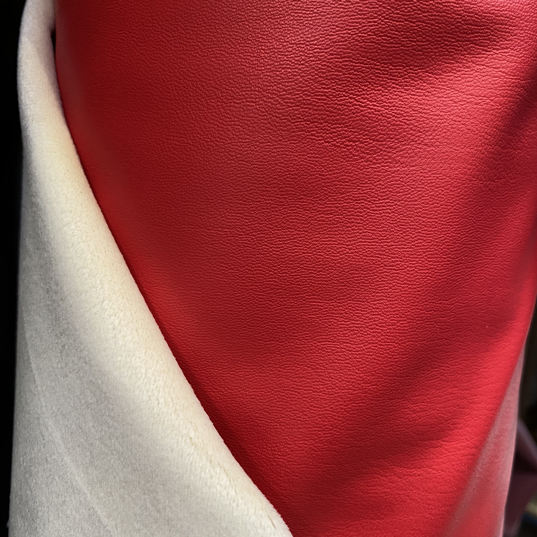 Cuerina con Carda  2