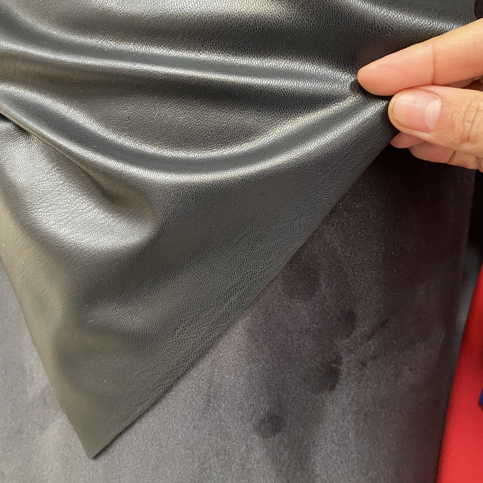 Cuerina con Carda  3