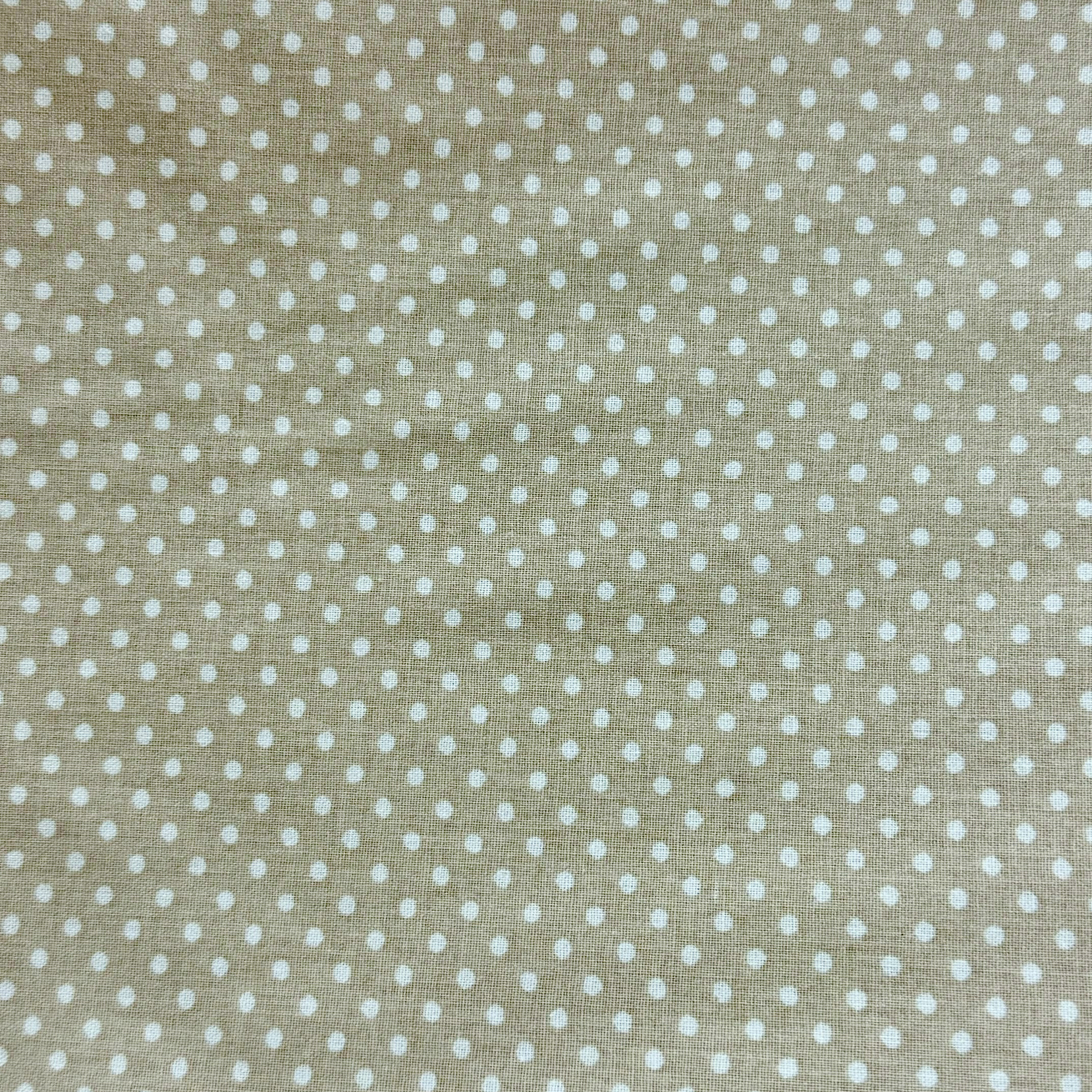 Crea Turca Puntitos 3